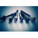 POCH VIS CULASSE AU 81000400