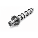 ARBRE A CAMES FT  93002400