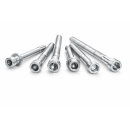 POCH VIS CULASSE RL 81003000